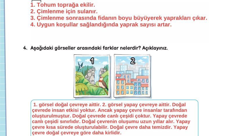 3. Sınıf Meb Yayınları Fen Bilimleri Ders Kitabı Sayfa 186 Cevapları