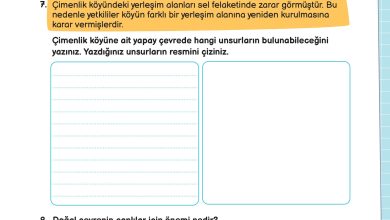 3. Sınıf Meb Yayınları Fen Bilimleri Ders Kitabı Sayfa 187 Cevapları