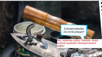 3. Sınıf Meb Yayınları Fen Bilimleri Ders Kitabı Sayfa 190 Cevapları