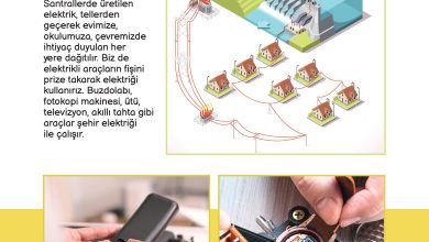 3. Sınıf Meb Yayınları Fen Bilimleri Ders Kitabı Sayfa 196 Cevapları