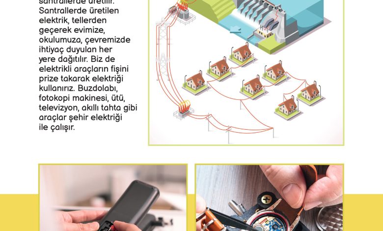 3. Sınıf Meb Yayınları Fen Bilimleri Ders Kitabı Sayfa 196 Cevapları