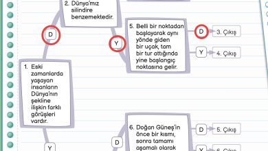 3. Sınıf Meb Yayınları Fen Bilimleri Ders Kitabı Sayfa 20 Cevapları