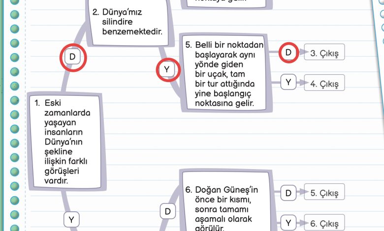 3. Sınıf Meb Yayınları Fen Bilimleri Ders Kitabı Sayfa 20 Cevapları