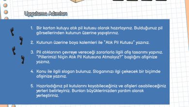 3. Sınıf Meb Yayınları Fen Bilimleri Ders Kitabı Sayfa 202 Cevapları