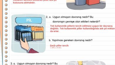 3. Sınıf Meb Yayınları Fen Bilimleri Ders Kitabı Sayfa 203 Cevapları