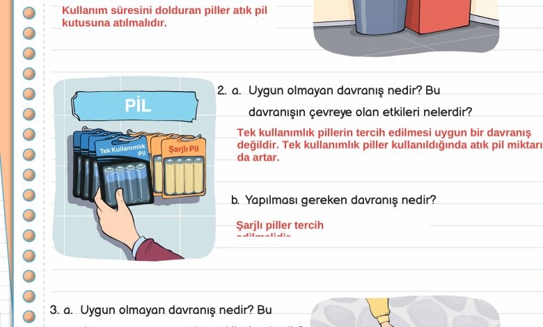 3. Sınıf Meb Yayınları Fen Bilimleri Ders Kitabı Sayfa 203 Cevapları