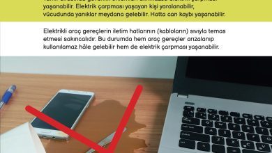 3. Sınıf Meb Yayınları Fen Bilimleri Ders Kitabı Sayfa 205 Cevapları