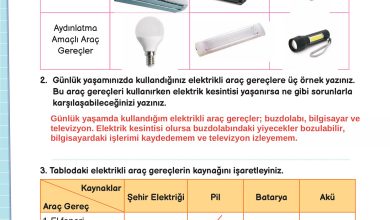 3. Sınıf Meb Yayınları Fen Bilimleri Ders Kitabı Sayfa 208 Cevapları