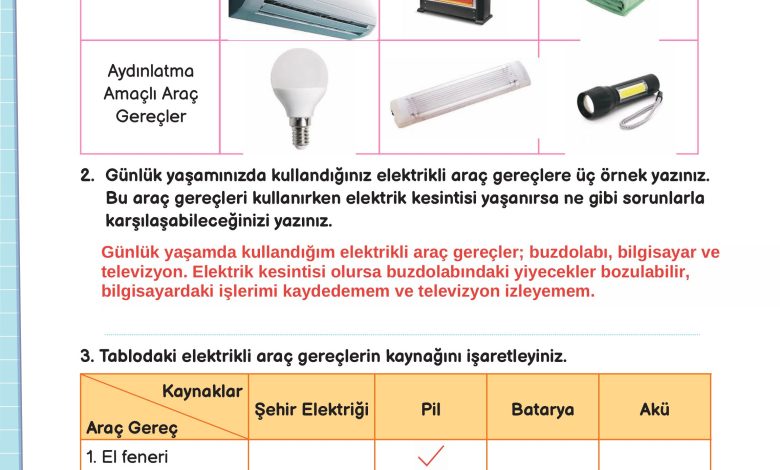 3. Sınıf Meb Yayınları Fen Bilimleri Ders Kitabı Sayfa 208 Cevapları