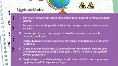 3. Sınıf Meb Yayınları Fen Bilimleri Ders Kitabı Sayfa 21 Cevapları