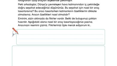 3. Sınıf Meb Yayınları Fen Bilimleri Ders Kitabı Sayfa 213 Cevapları