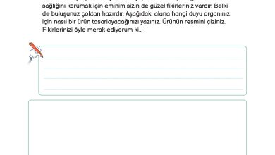 3. Sınıf Meb Yayınları Fen Bilimleri Ders Kitabı Sayfa 215 Cevapları