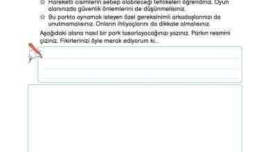 3. Sınıf Meb Yayınları Fen Bilimleri Ders Kitabı Sayfa 219 Cevapları