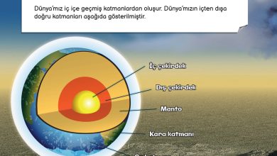 3. Sınıf Meb Yayınları Fen Bilimleri Ders Kitabı Sayfa 22 Cevapları