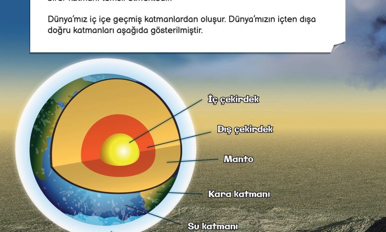 3. Sınıf Meb Yayınları Fen Bilimleri Ders Kitabı Sayfa 22 Cevapları