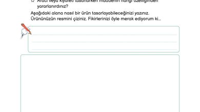 3. Sınıf Meb Yayınları Fen Bilimleri Ders Kitabı Sayfa 220 Cevapları