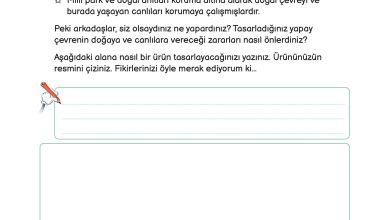 3. Sınıf Meb Yayınları Fen Bilimleri Ders Kitabı Sayfa 225 Cevapları