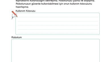 3. Sınıf Meb Yayınları Fen Bilimleri Ders Kitabı Sayfa 231 Cevapları