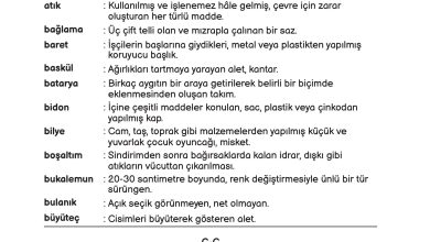 3. Sınıf Meb Yayınları Fen Bilimleri Ders Kitabı Sayfa 232 Cevapları