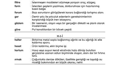 3. Sınıf Meb Yayınları Fen Bilimleri Ders Kitabı Sayfa 233 Cevapları