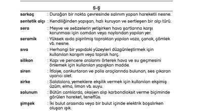 3. Sınıf Meb Yayınları Fen Bilimleri Ders Kitabı Sayfa 235 Cevapları