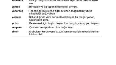 3. Sınıf Meb Yayınları Fen Bilimleri Ders Kitabı Sayfa 236 Cevapları