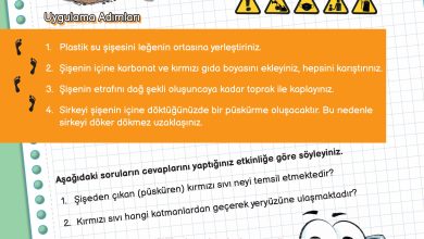 3. Sınıf Meb Yayınları Fen Bilimleri Ders Kitabı Sayfa 24 Cevapları