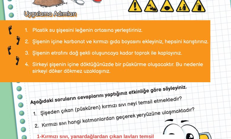 3. Sınıf Meb Yayınları Fen Bilimleri Ders Kitabı Sayfa 24 Cevapları