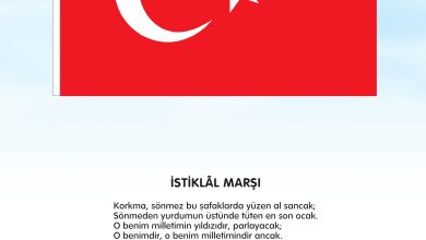 3. Sınıf Meb Yayınları Fen Bilimleri Ders Kitabı Sayfa 3 Cevapları