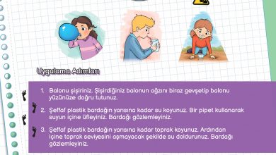 3. Sınıf Meb Yayınları Fen Bilimleri Ders Kitabı Sayfa 31 Cevapları