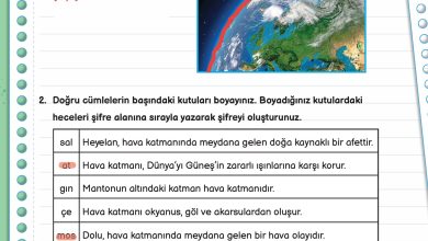 3. Sınıf Meb Yayınları Fen Bilimleri Ders Kitabı Sayfa 34 Cevapları