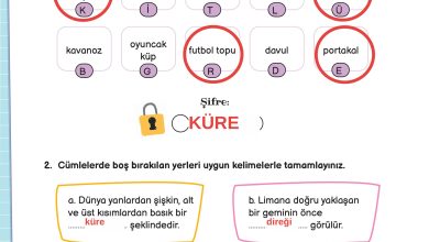 3. Sınıf Meb Yayınları Fen Bilimleri Ders Kitabı Sayfa 38 Cevapları