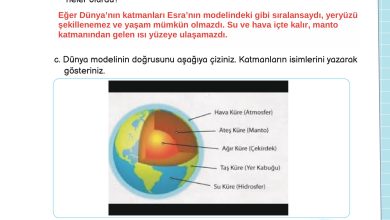 3. Sınıf Meb Yayınları Fen Bilimleri Ders Kitabı Sayfa 39 Cevapları