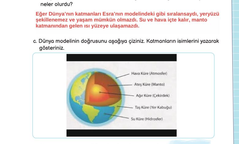 3. Sınıf Meb Yayınları Fen Bilimleri Ders Kitabı Sayfa 39 Cevapları