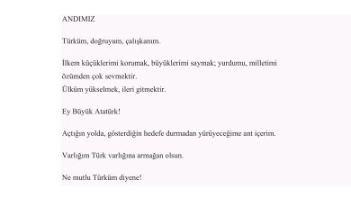 3. Sınıf Meb Yayınları Fen Bilimleri Ders Kitabı Sayfa 4 Cevapları