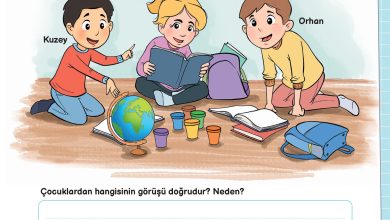 3. Sınıf Meb Yayınları Fen Bilimleri Ders Kitabı Sayfa 41 Cevapları