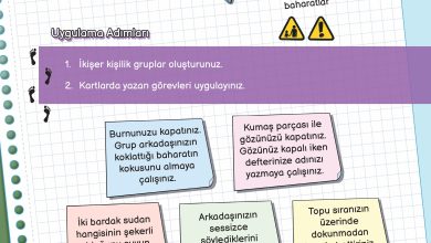 3. Sınıf Meb Yayınları Fen Bilimleri Ders Kitabı Sayfa 45 Cevapları