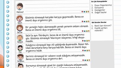 3. Sınıf Meb Yayınları Fen Bilimleri Ders Kitabı Sayfa 47 Cevapları