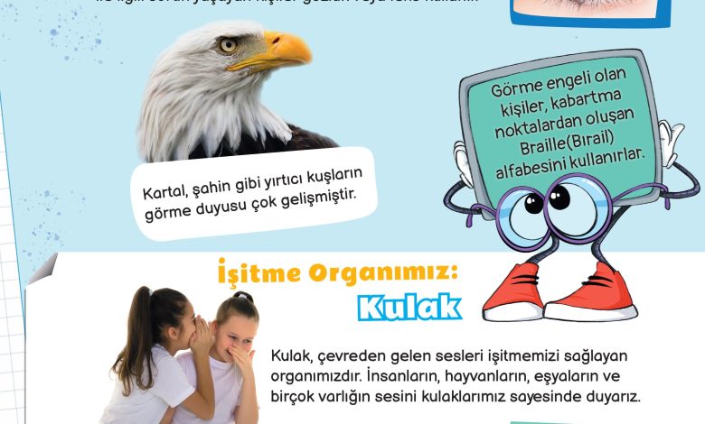 3. Sınıf Meb Yayınları Fen Bilimleri Ders Kitabı Sayfa 49 Cevapları