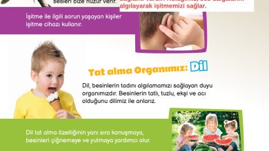 3. Sınıf Meb Yayınları Fen Bilimleri Ders Kitabı Sayfa 50 Cevapları