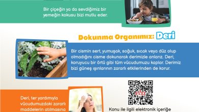 3. Sınıf Meb Yayınları Fen Bilimleri Ders Kitabı Sayfa 51 Cevapları