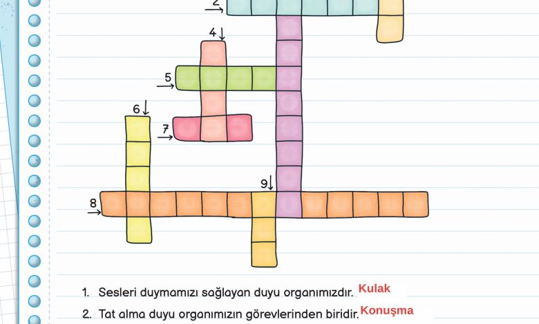 3. Sınıf Meb Yayınları Fen Bilimleri Ders Kitabı Sayfa 53 Cevapları