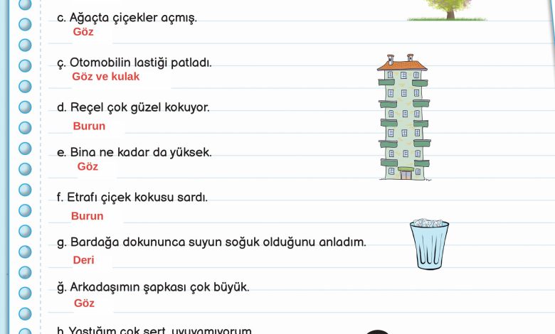 3. Sınıf Meb Yayınları Fen Bilimleri Ders Kitabı Sayfa 54 Cevapları