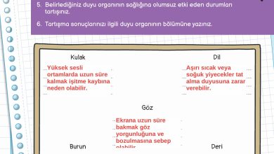 3. Sınıf Meb Yayınları Fen Bilimleri Ders Kitabı Sayfa 55 Cevapları