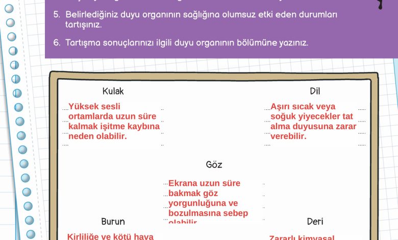 3. Sınıf Meb Yayınları Fen Bilimleri Ders Kitabı Sayfa 55 Cevapları