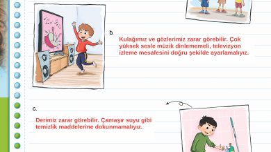 3. Sınıf Meb Yayınları Fen Bilimleri Ders Kitabı Sayfa 59 Cevapları