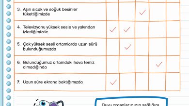 3. Sınıf Meb Yayınları Fen Bilimleri Ders Kitabı Sayfa 60 Cevapları