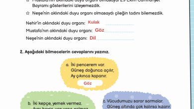 3. Sınıf Meb Yayınları Fen Bilimleri Ders Kitabı Sayfa 61 Cevapları