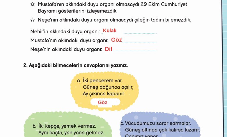 3. Sınıf Meb Yayınları Fen Bilimleri Ders Kitabı Sayfa 61 Cevapları