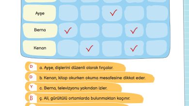 3. Sınıf Meb Yayınları Fen Bilimleri Ders Kitabı Sayfa 63 Cevapları